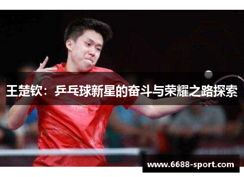 王楚钦：乒乓球新星的奋斗与荣耀之路探索